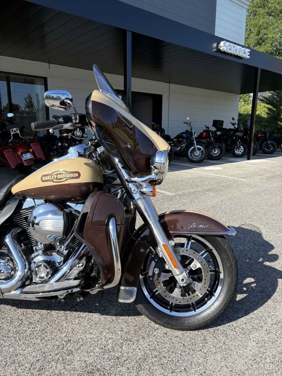 HARLEY-DAVIDSON TOURING ELECTRA 1690 ULTRA LIMITED 4