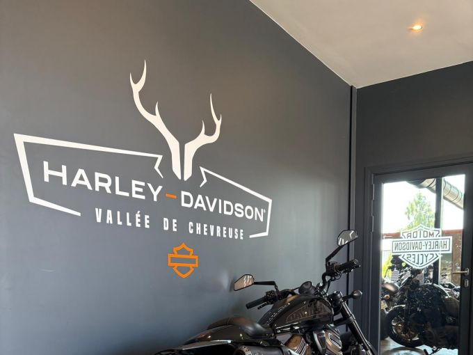 HARLEY-DAVIDSON SPORTSTER 1250 S 4
