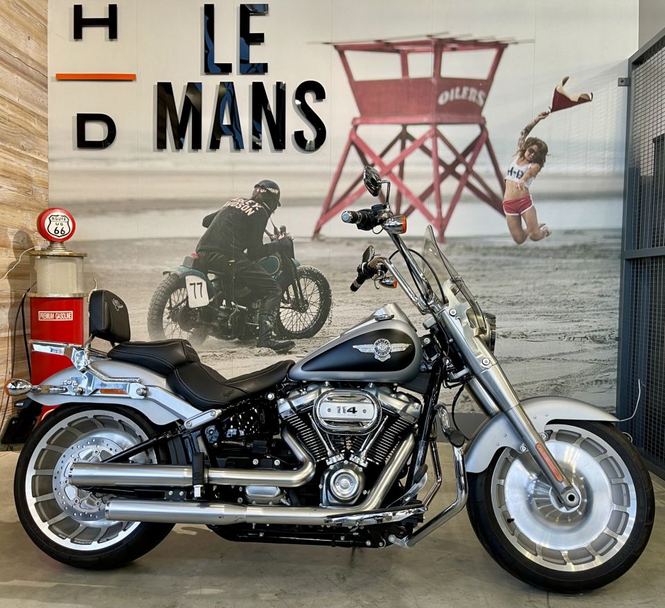 HARLEY-DAVIDSON SOFTAIL FAT BOY 1868 4