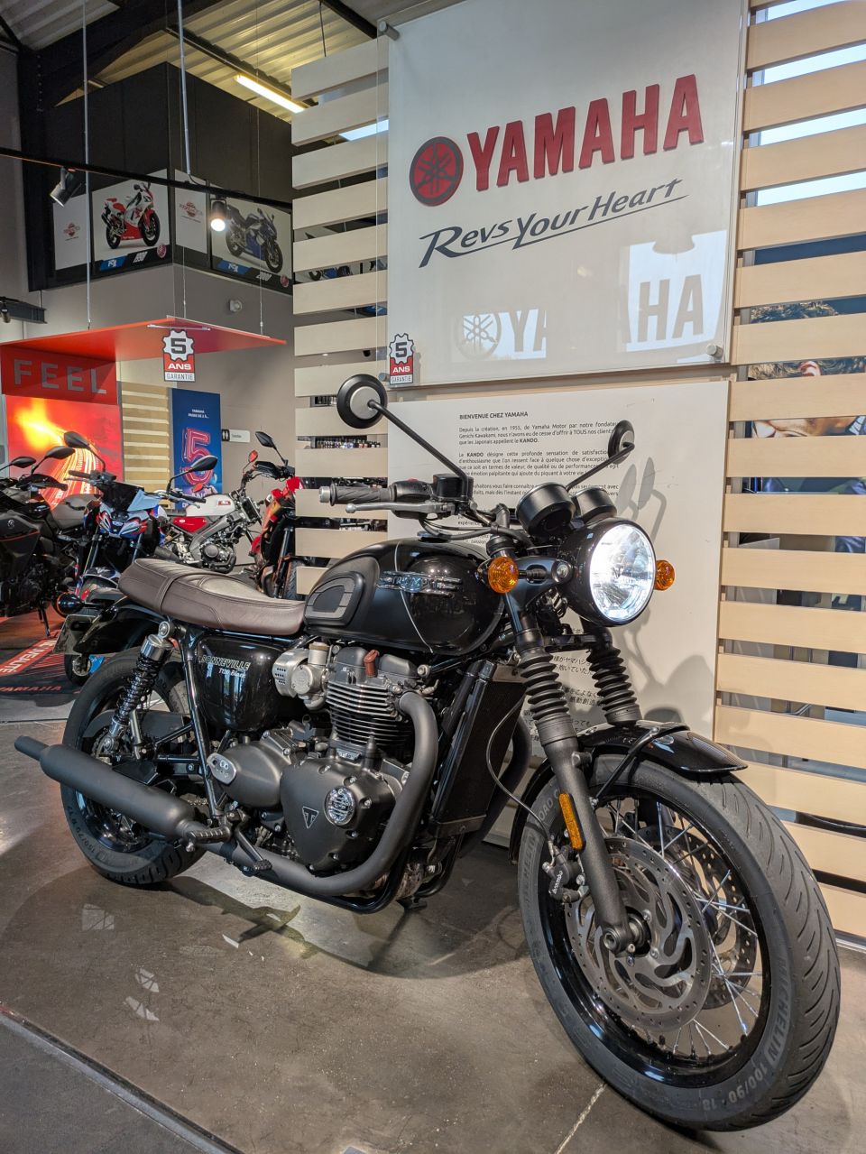 TRIUMPH BONNEVILLE T120 4