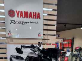 YAMAHA MT-09 - 2024