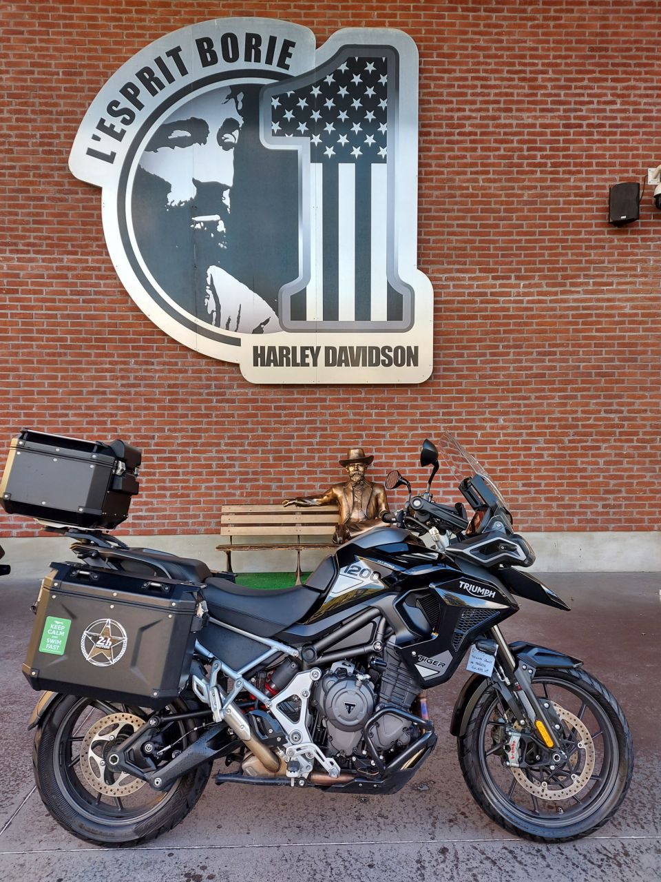 TRIUMPH TIGER 1200 GT PRO 4