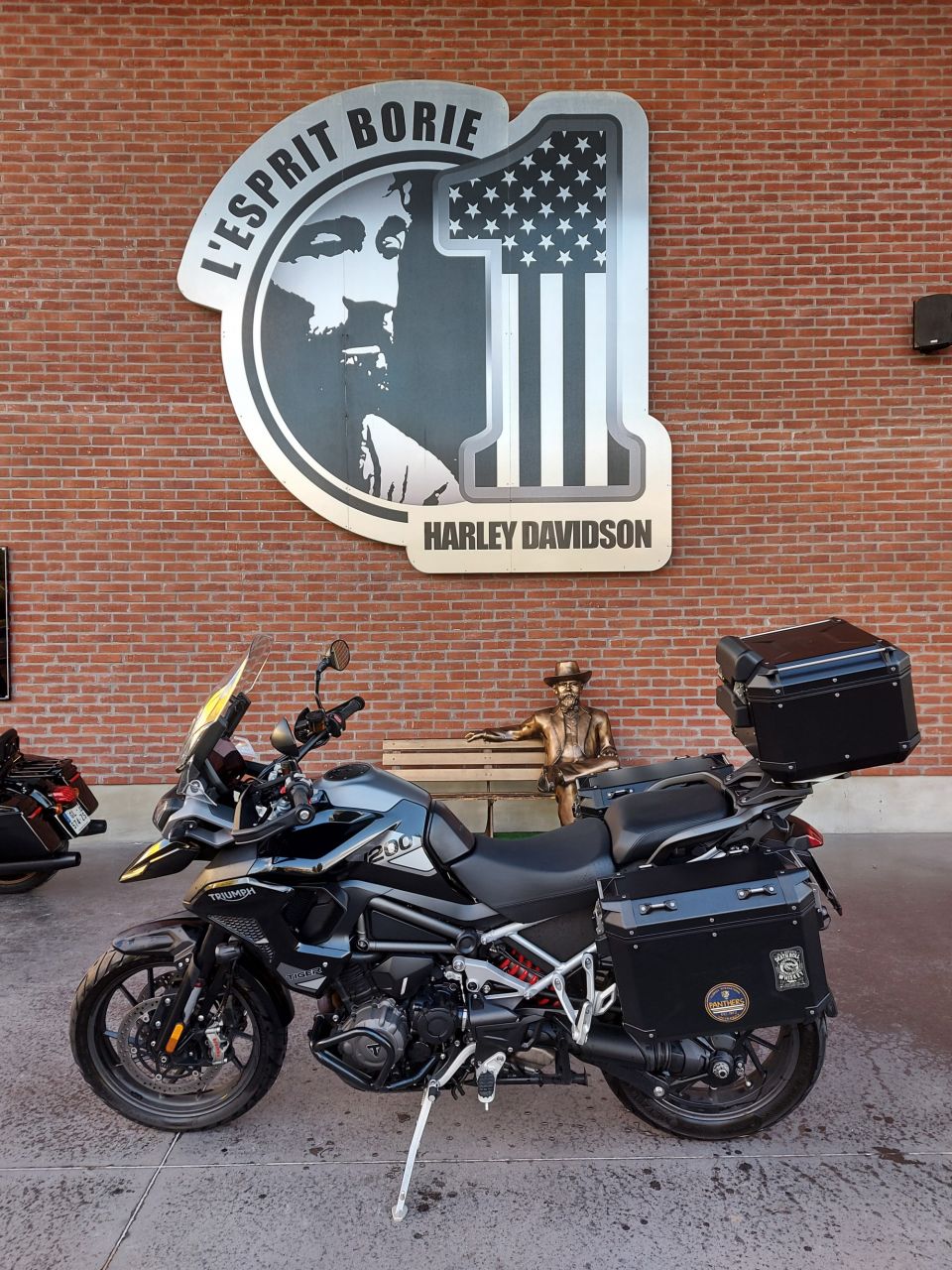 TRIUMPH TIGER 1200 GT PRO 4