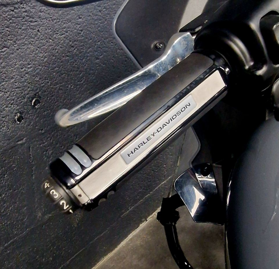 HARLEY-DAVIDSON SOFTAIL LOW RIDER 1923 ST 4