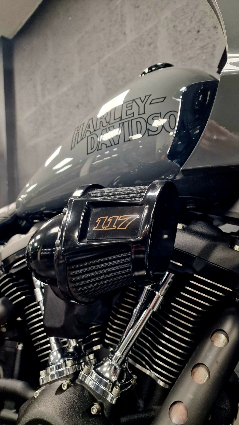 HARLEY-DAVIDSON SOFTAIL LOW RIDER 1923 ST 4