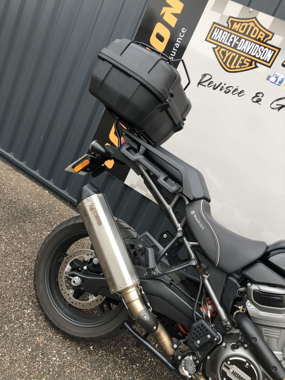 HARLEY-DAVIDSON ADVENTURE PAN AMERICA 1250 SPECIAL 4