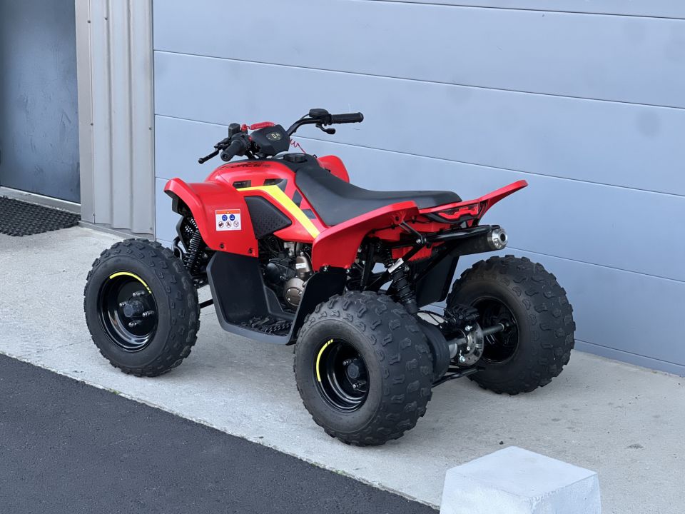 CF MOTO CFORCE 110 4