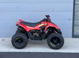 CF MOTO CFORCE 110 - 2022