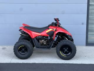 CF MOTO CFORCE 110 - 2022