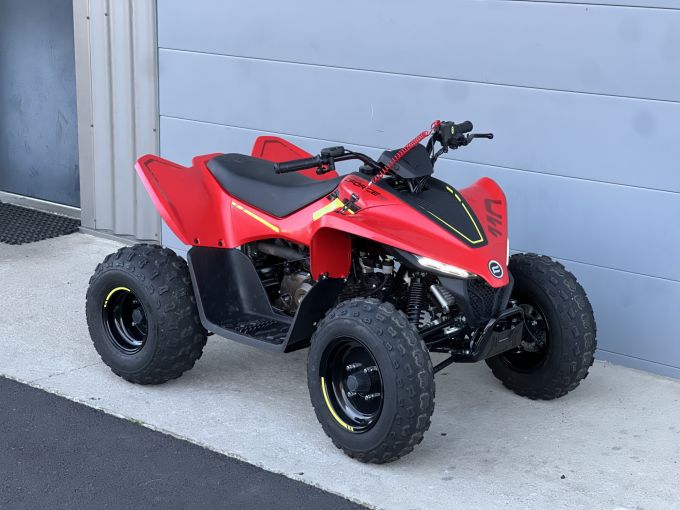 CF MOTO CFORCE 110 4