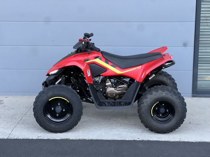 CF MOTO CFORCE 110 4