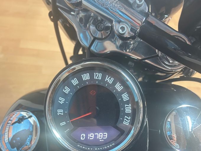 HARLEY-DAVIDSON SOFTAIL HERITAGE 1868 CLASSIC 4