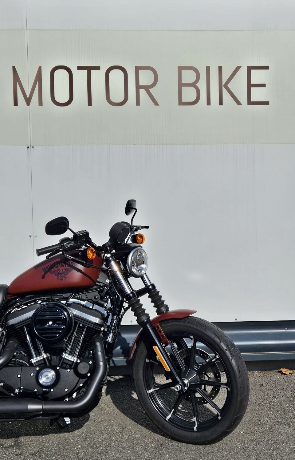 HARLEY-DAVIDSON SPORTSTER IRON 883 4