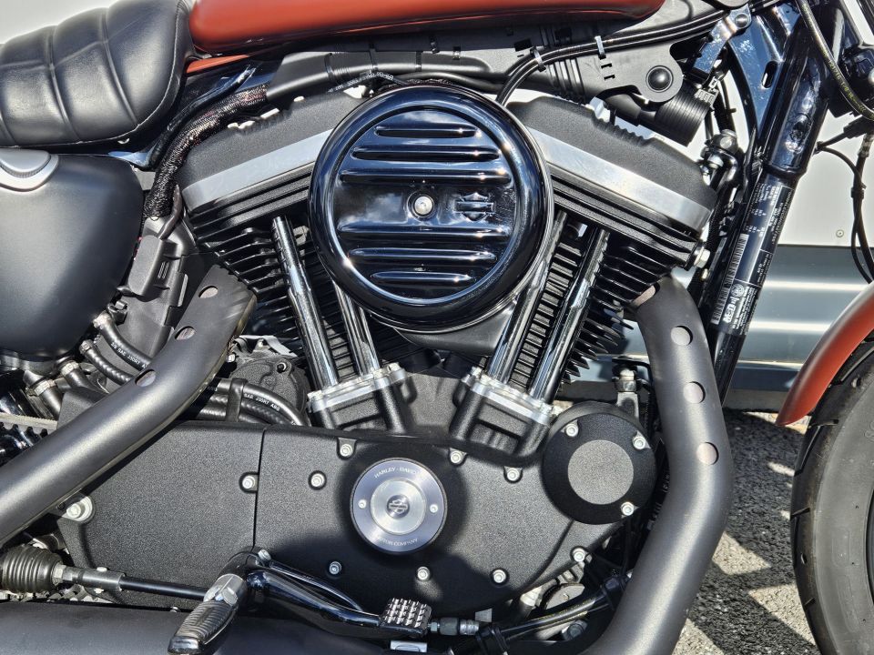 HARLEY-DAVIDSON SPORTSTER IRON 883 4