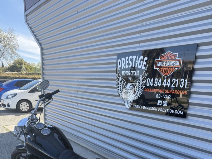 HARLEY-DAVIDSON DYNA LOW RIDER 1690 4