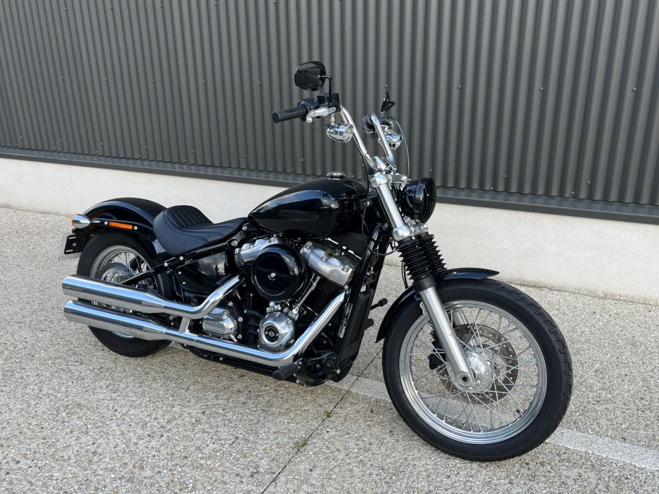 HARLEY-DAVIDSON SOFTAIL STANDARD 1745 4