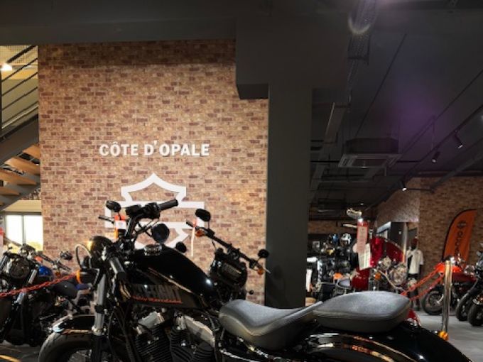 HARLEY-DAVIDSON SPORTSTER FORTY-EIGHT 1200 4