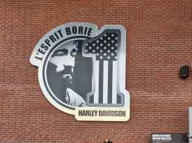 HARLEY-DAVIDSON SOFTAIL SPORT GLIDE 1745 - 2025