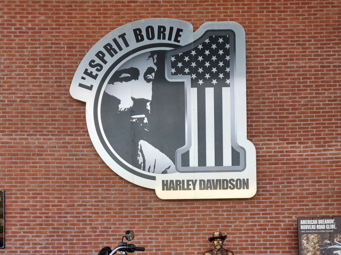 HARLEY-DAVIDSON SOFTAIL SPORT GLIDE 1745 4