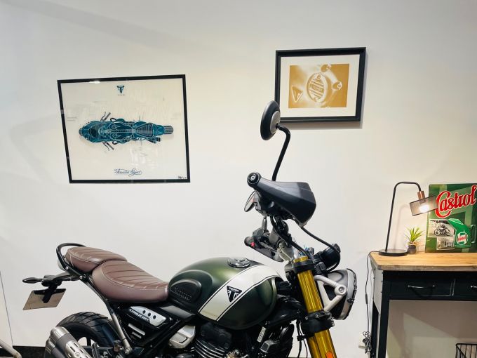 TRIUMPH Scrambler 400 X 4