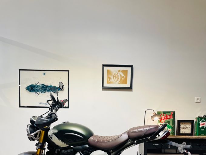 TRIUMPH Scrambler 400 X 4