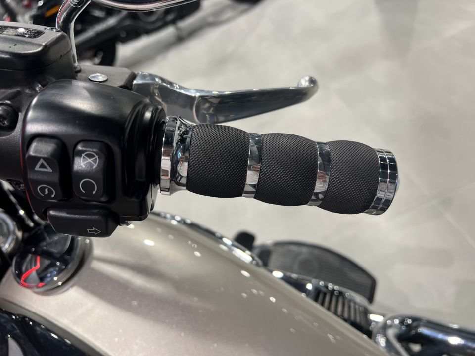 HARLEY-DAVIDSON SOFTAIL HERITAGE 1868 CLASSIC 4