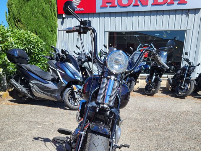HARLEY-DAVIDSON SOFTAIL SPRINGER 1584 CROSS BONES 4
