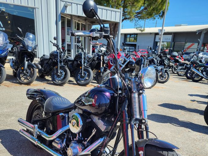 HARLEY-DAVIDSON SOFTAIL SPRINGER 1584 CROSS BONES 4