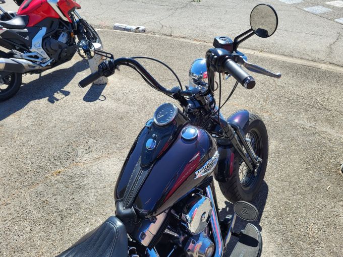 HARLEY-DAVIDSON SOFTAIL SPRINGER 1584 CROSS BONES 4