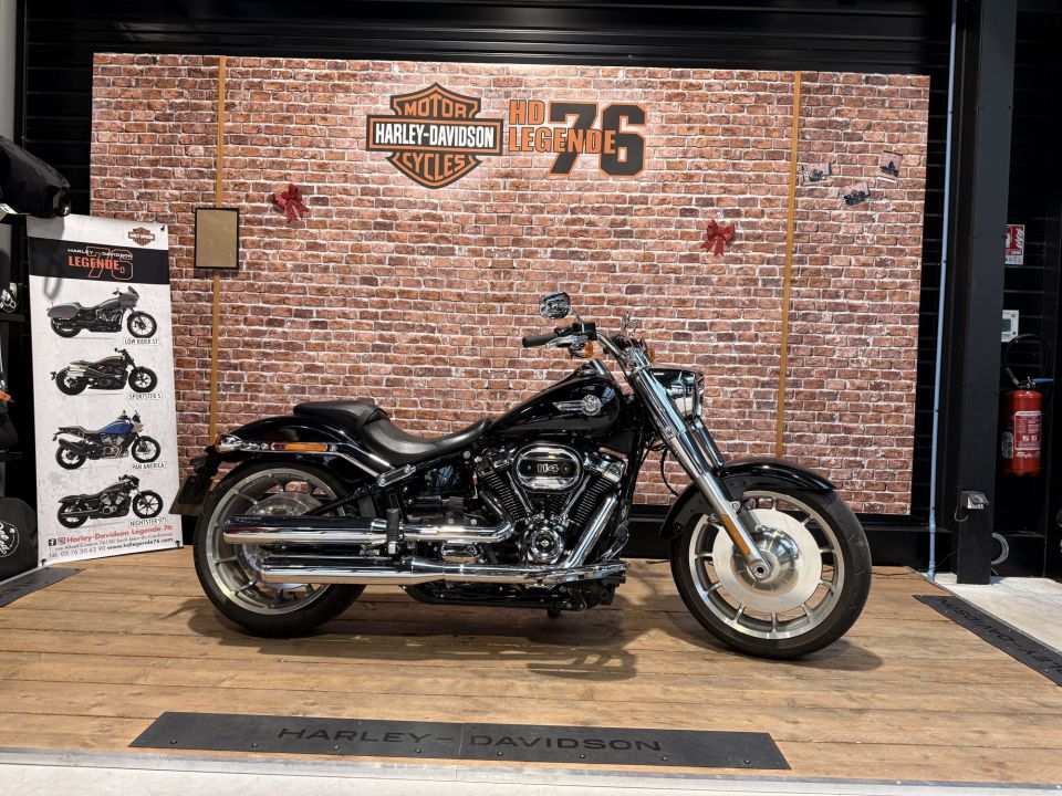 HARLEY-DAVIDSON SOFTAIL FAT BOY 1868 4
