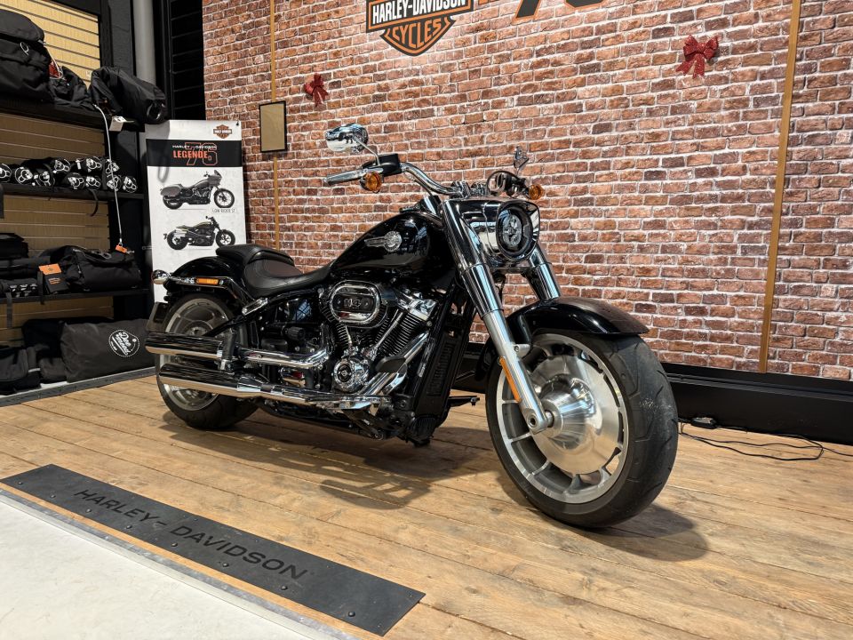 HARLEY-DAVIDSON SOFTAIL FAT BOY 1868 4