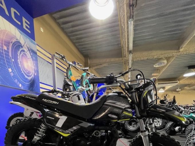 YAMAHA PW50 4