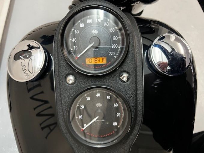 HARLEY-DAVIDSON SOFTAIL LOW RIDER 1868 S 4