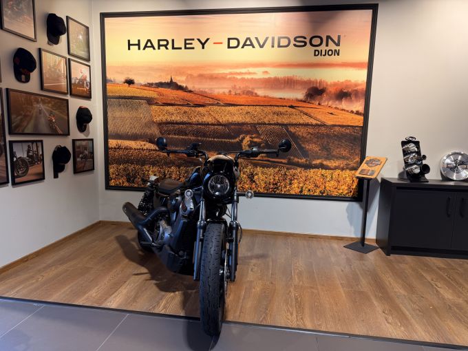 HARLEY-DAVIDSON SPORTSTER NIGHTSTER 975 4