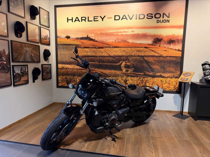 HARLEY-DAVIDSON SPORTSTER NIGHTSTER 975 4