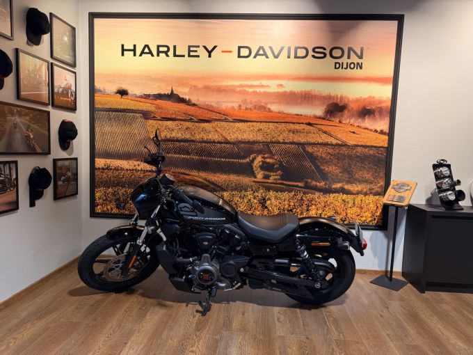 HARLEY-DAVIDSON SPORTSTER NIGHTSTER 975 4