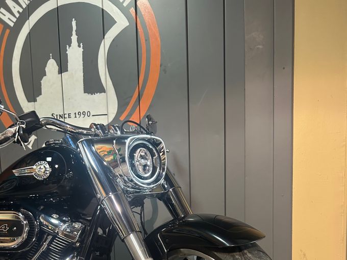 HARLEY-DAVIDSON SOFTAIL FAT BOY 1868 4