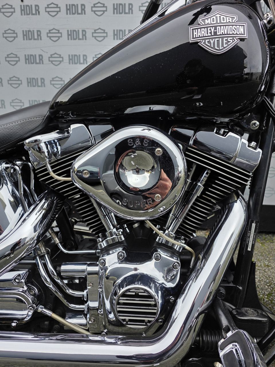 HARLEY-DAVIDSON SOFTAIL SPRINGER 1450 4