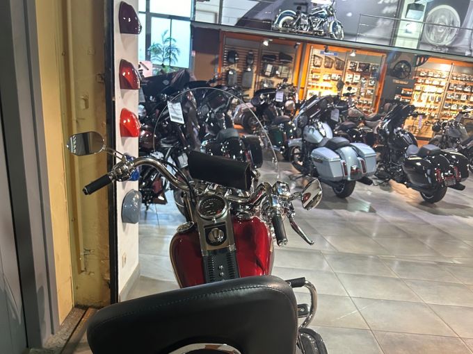 HARLEY-DAVIDSON SOFTAIL FAT BOY 1584 4
