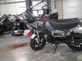 HONDA DAX ST - 2024