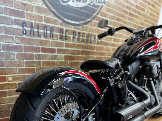 HARLEY-DAVIDSON SOFTAIL SPRINGER 1584 CROSS BONES 4
