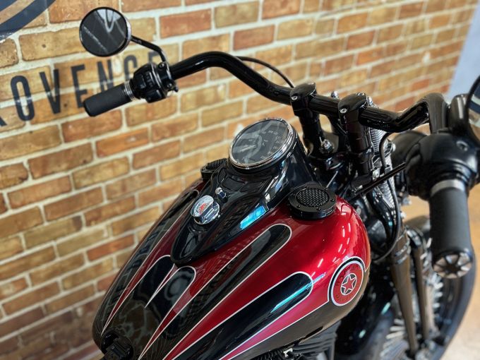 HARLEY-DAVIDSON SOFTAIL SPRINGER 1584 CROSS BONES 4