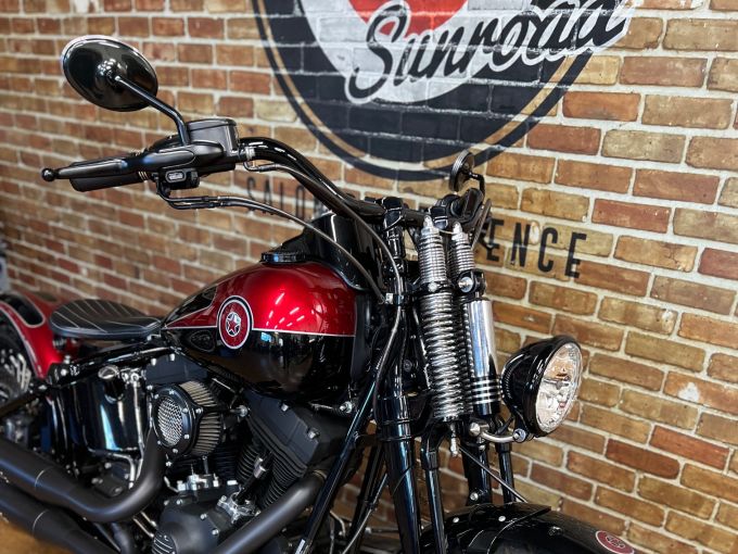 HARLEY-DAVIDSON SOFTAIL SPRINGER 1584 CROSS BONES 4