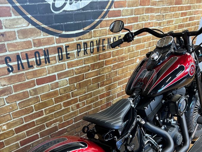 HARLEY-DAVIDSON SOFTAIL SPRINGER 1584 CROSS BONES 4