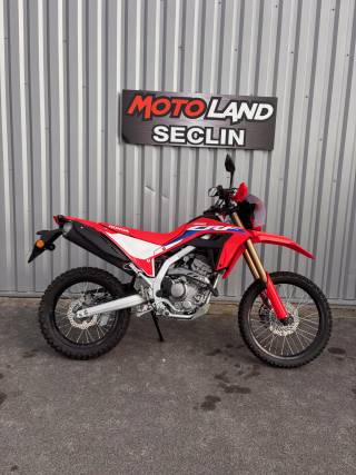 HONDA CRF - 2025