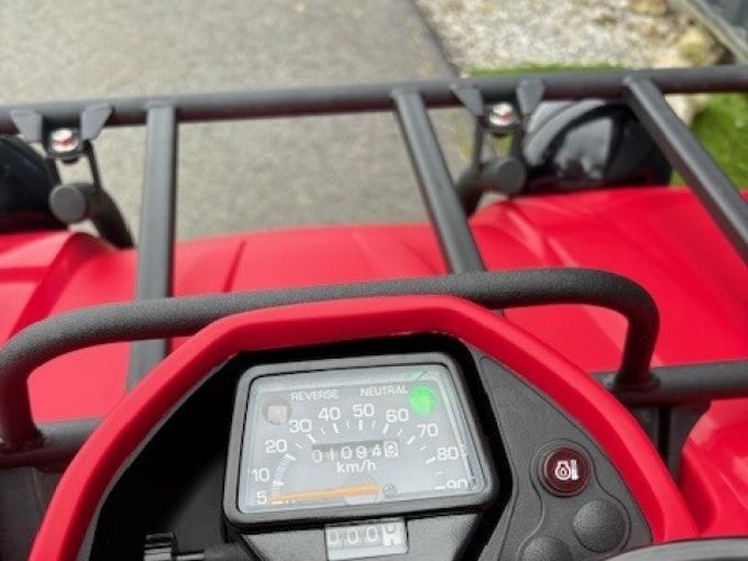 YAMAHA YFM 350 F MAGA 4