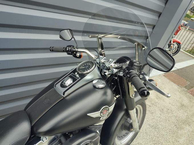 HARLEY-DAVIDSON SOFTAIL FAT BOY 1584 SPECIAL 4
