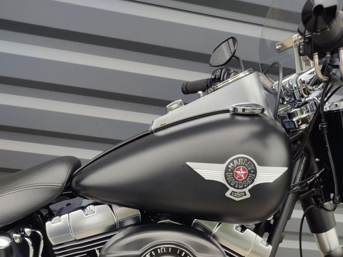 HARLEY-DAVIDSON SOFTAIL FAT BOY 1584 SPECIAL 4