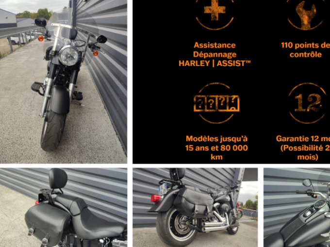 HARLEY-DAVIDSON SOFTAIL FAT BOY 1584 SPECIAL 4
