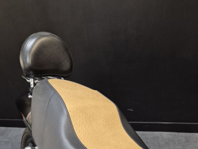 HARLEY-DAVIDSON V-ROD STREET ROD 1130 4